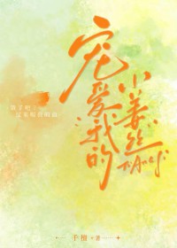 宠爱我的小姜丝作者千檀