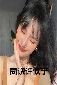 傅临川许攸宁的