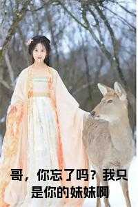 顾清欢陆白免费阅读