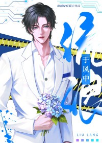 于风中流浪TXT