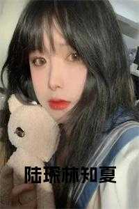 陆祁琛林夏