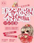 丑妃当道王爷请下榻