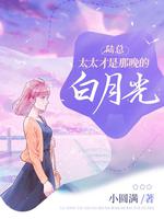陆太太她最野了免费阅读