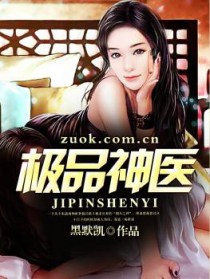 极品神医叶开阅读