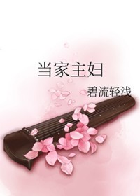 当家主妇晋江