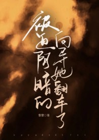 阴暗向导被迫翻车了大结局