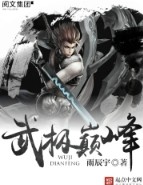 武极巅峰第二部续写