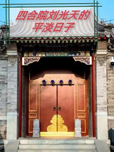 四合院之刘光天的隐忍七情上的