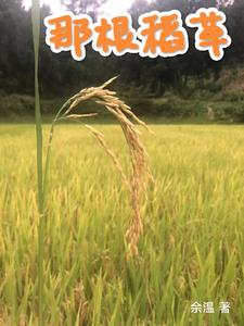 那根稻草免费阅读