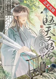 穿越汉花式养瞎夫郎番外