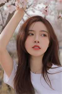 从新手村出来的我无敌了