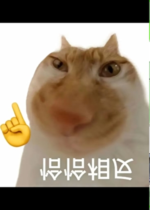 长生种开启了猎人朋友圈晋江文学城