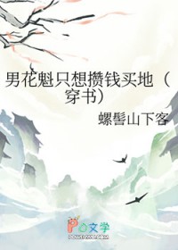 主角是男花魁的