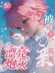 漂亮炮灰静夜