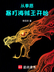 从海贼开始的拳皇