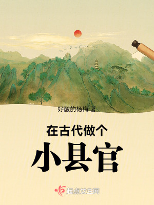 在古代做个小县官男主是谁