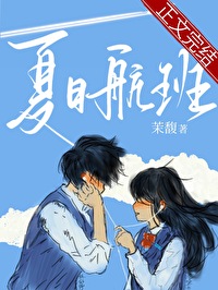 夏日航班链接