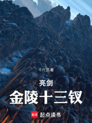 亮剑金陵十三钗TXT免费