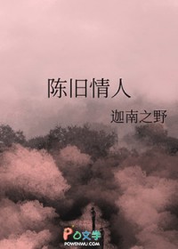 旧情人旧情歌的歌词