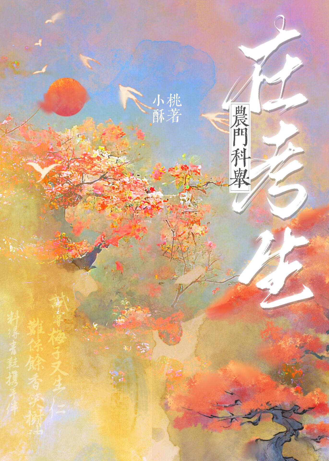 寒门科举入仕记TXT