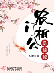 农门相公是锦鲤251