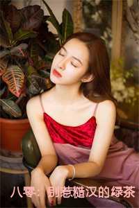 江莹莹沈尧主角的