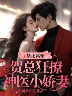 女主叫贺梓凝的