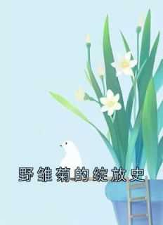 楚楚的身世