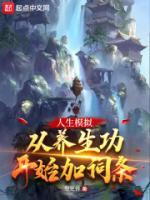 人生模拟从养生功开始加词条实力划分