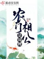 农门相公是锦鲤 起点
