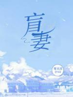 盲妻复明嫁太子爷