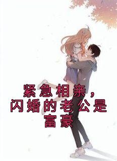 紧急相亲闪婚的老公是富豪 沉穗和