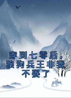 穿到七零嫁兵哥
