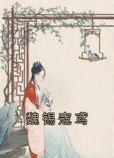 寇鸢魏锡大结局是什么