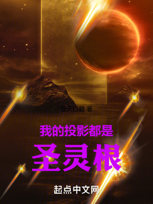 我的投影都是圣灵根笔趣