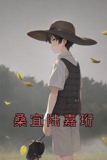 桑宜陆嘉珩完结了吗