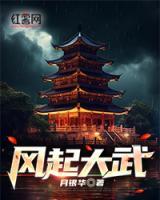 风起武林