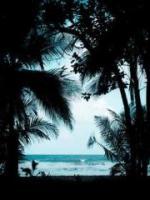 被偷走的运气如何拿回来