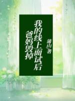 风骨小秦子简介