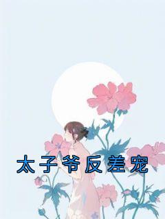 太子爷追妻