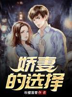 娇妻另一半叫什么