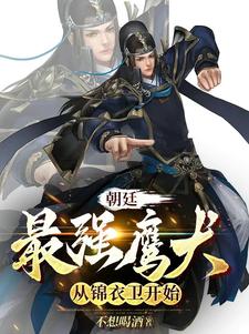 主角是朝廷鹰犬的武侠