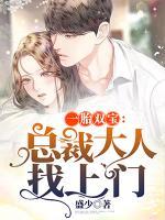 一胎双宝总裁大人娶妻套路深