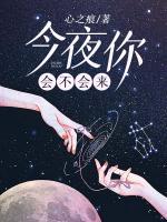 今夜你会不会来歌曲