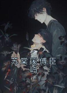 苏锦棠傅北尧名字