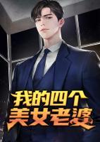 我的四个美女老婆全文免费阅读