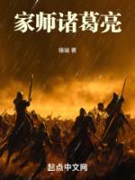 家师诸葛亮全文免费最新更新