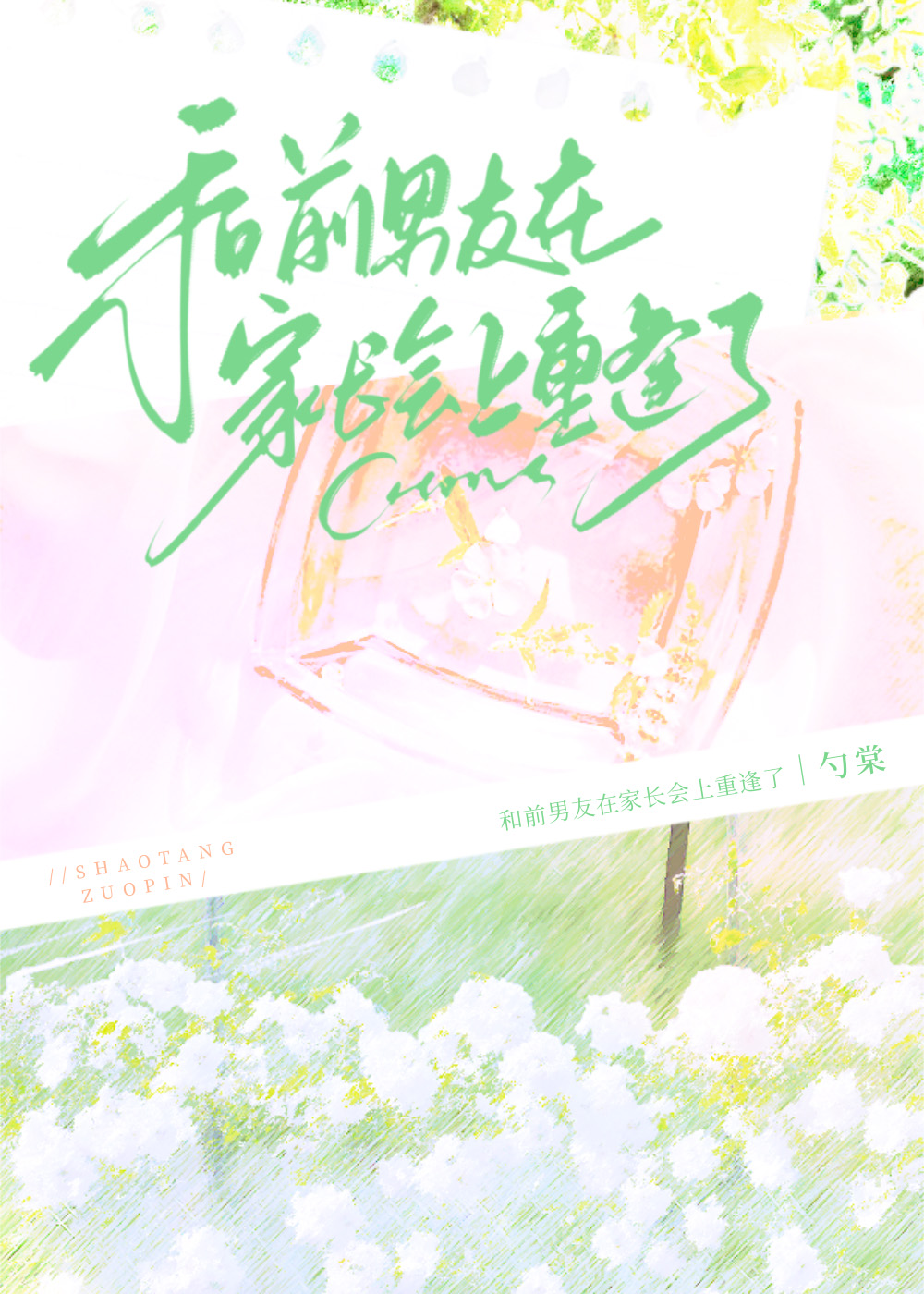 在家长会上遇前任by勺棠番外