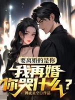 我再婚你哭什么?舞夜星