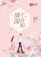 凌封叶蓁免费阅读